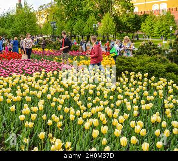 Moscow, Russia, May 20, 2017: Alexander Garden at the walls of the Moscow Kremlin. People walk and take pictures against the background of flower beds Stock Photo