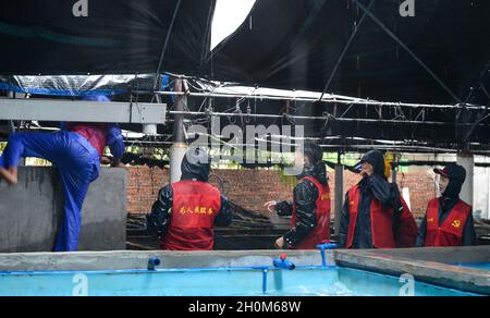 Haikou, China's Hainan Province. 13th Oct, 2021. Volunteers check a farm in Shangen Township of Wanning city, south China's Hainan Province, Oct. 13, 2021. Typhoon Kompasu, the 18th typhoon of this year, made landfall in south China's island province of Hainan on Wednesday afternoon. Credit: Zhou Jiayi/Xinhua/Alamy Live News Stock Photo