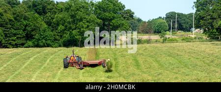 The farmer checks out the freshly cut grass in the hayfield. Stock Photo