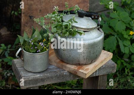 Old aluminum teapot and mug with freshly cut green mint. Rustic still life Stock Photo