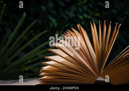 An image of an open book against a green background in the sunlight Stock Photo