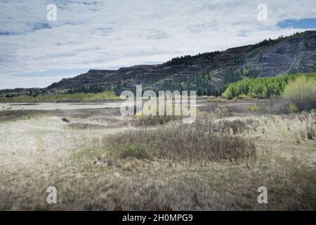 dry island buffalo jump Stock Photo