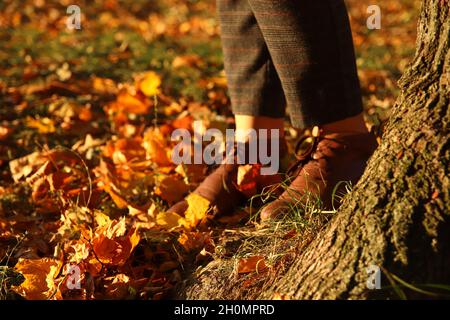 Female legs in capri pants and brogues shoes on dry autumn bright leaves background. Bright stylish woman in orange coat walking in october park. Tree Stock Photo