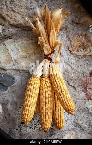 Orange dried corn cobs hanging on a stone wall of a country house in South Tyrol, Italy Stock Photo