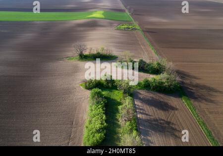Aerial view of plains with parcels of  different crops in spring Stock Photo