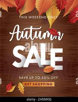 Autumn sale banner background with fall leaves elements, autumn typography and discount text Stock Vector
