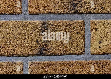 Close-up texture of a yellow scratched brick wall with a gray seam Stock Photo