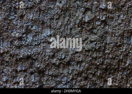 Close-up texture of a black decorative scratched brick Stock Photo