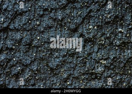 Close-up texture of a black scratched brick Stock Photo