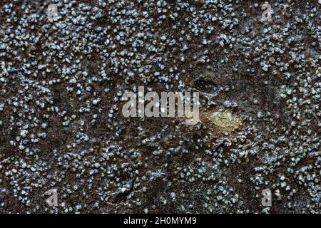 Close-up texture of a black decorative scratched brick Stock Photo