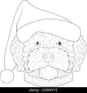 Christmas greeting card for coloring. Spanish Water dog with Santa's hat Stock Vector