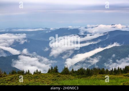 Amazing landscape with high mountains, fog and sky. The early morning mist. Majestic spring day. Dense fog with beautiful light. The lawn with green g Stock Photo