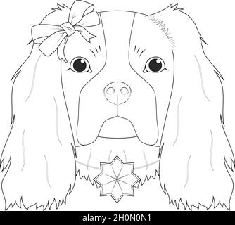 Christmas greeting card for coloring. Cavalier King Charles Spaniel dog with a bow and a Christmas ornament Stock Vector