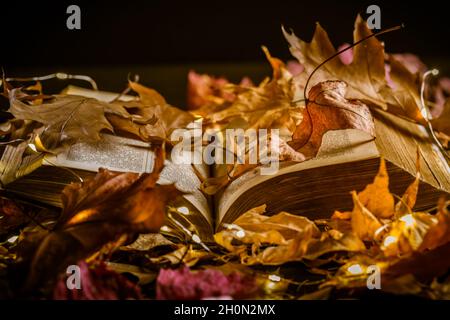 Old book with candle and autumn leaves in vintage style Stock Photo