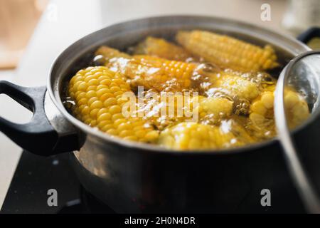 Close-up of corn in boiling water on the background of the kitchen window Stock Photo