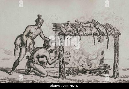 History of the United States of America. 16th century French expedition. Florida. The Timucua roast native fowl and marine animals, including alligato Stock Photo