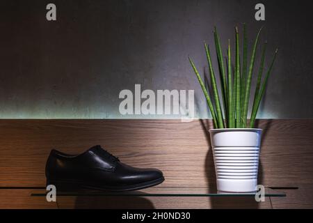 Green plant in a pot with mans shoes on dark background. Stock Photo