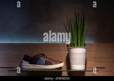 Green plant in a pot with mans shoes on dark background. Stock Photo