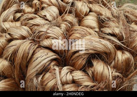 Thick brown bundle of rw jute fiber Stock Photo