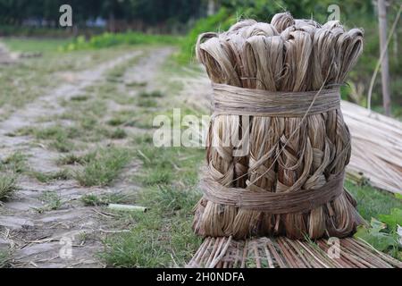 Thick brown bundle of jute Stock Photo