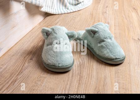 Blue soft fleece cozy slippers on the brown floor in the bedroom