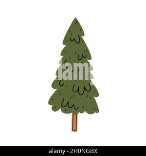 Green spruce on a white background. Vector illustration Stock Vector