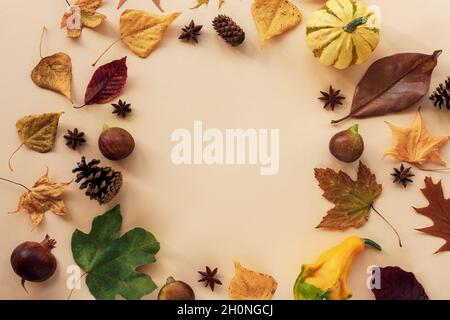 Frame of autumn leaves, fig fruits, cones, star anise and pumpkins on beige background with copy space. Top view, flat lay Stock Photo