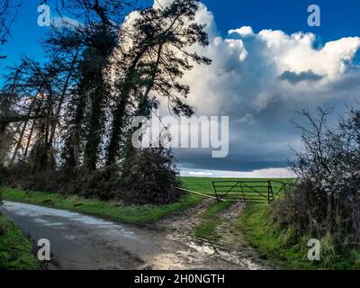 After a storm as the rainclouds clear,a gate leading into a field with large cumulus cloud beyond and weather beaten trees lining the wet road in the Stock Photo