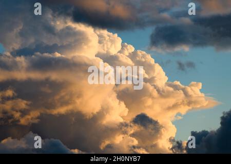 Billowing storm clouds in the blue sky.  The white sides of the high formation is tinged with yellow form the setting sun during the golden hour Stock Photo