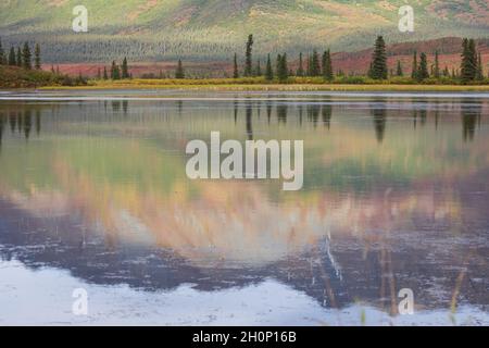 The Still Water in the Lake Reflects a Mountain in the Wilderness of Denali Highway, Alaska Stock Photo