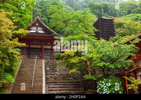 Nara, Japan - 01 July 2019: Tanzan Jinja Shrine main worship hall and 13 storey pagodaon misty and rainy morning, Nara, Japan. Stock Photo