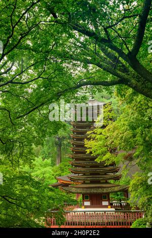 Nara, Japan - 01 July 2019:  Tanzan Jinja Shrine 13 storied pagoda, the only one in existence, Nara, Japan. Stock Photo