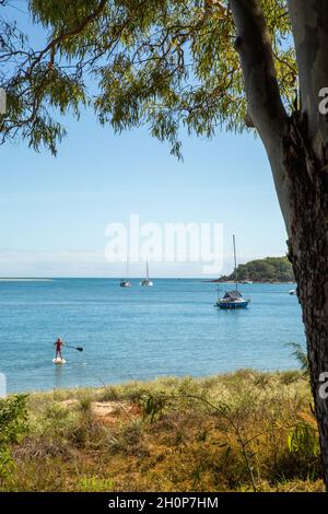A stand up paddle boarder and boats at anchor. Stock Photo