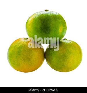 Three yellow-green mandarins stacked in a pyramid shape isolated on a white background Stock Photo