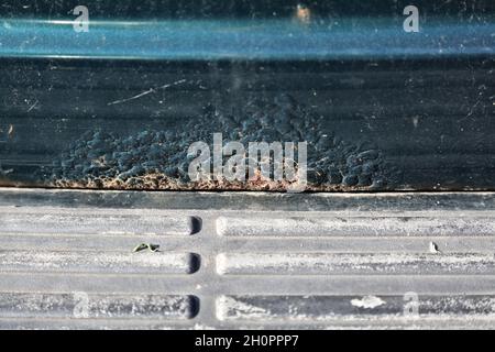 Rusting tailgate bottom sill in an old car. Weather damage in vehicle. Stock Photo