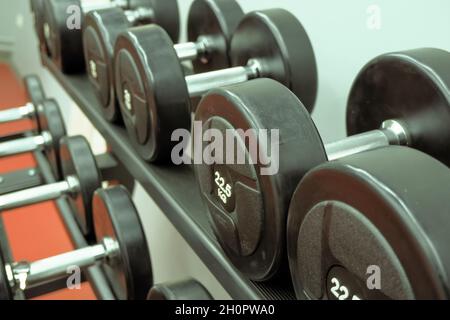 dumbbells for fitness classes are neatly placed on a stand.fitness,athletics,strength exercises. Stock Photo