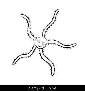 Hand drawn sea star. Vector doodle style icon Stock Vector