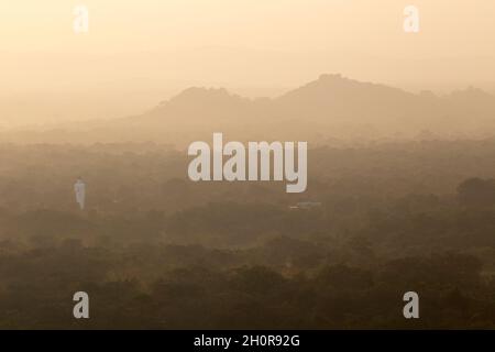 Foggy landscape of rainforest in Sri Lanka after monsoon rain Stock Photo
