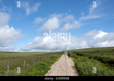 Landscape of the Cezallier Plateau in Anzat le Luguet (central southern France) Stock Photo