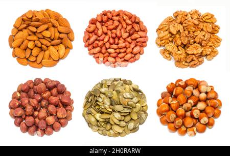 Set of different types of nuts - almond seeds, peeled peanut, peeled walnut, peeled ripe hazelnuts, pumpkin seeds without shell, ripe hazelnuts in the Stock Photo