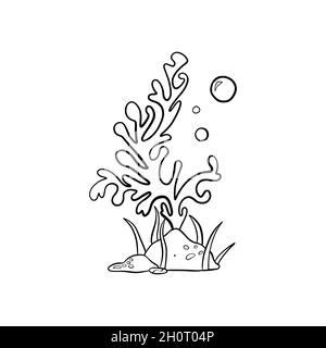 Vector drawing of seaweed in doodle style Stock Vector
