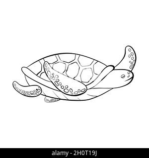 Vector black outline cartoon doodle sea turtles. Stock Vector