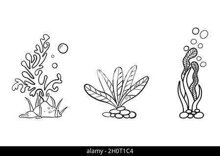 Hand drawn doodle of Underwater seaweed aquarium. Stock Vector