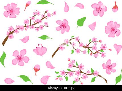 Blossom sakura pink flowers, buds, leaves and tree branches. Spring japanese cherry floral elements. Apple or peach bloom flower vector set Stock Vector