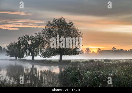 Spooky mist over ponds at Bushy Park in Surrey When on public or private  property I am prepared to take full responsibility of any copyright or right Stock Photo