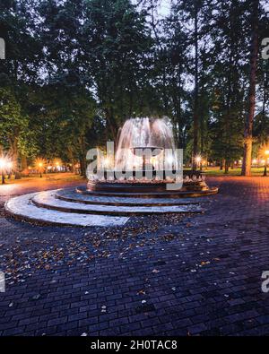 A fountain with blurred streams of water in a night park illuminated by ...