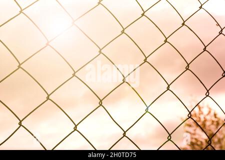 The texture of the metal mesh-netting against the background of the pastel colors of the sky. Beautiful abstract background. Stock Photo