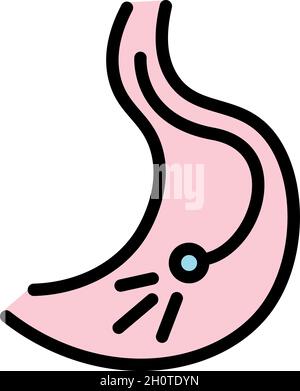 Endoscopy icon. Outline endoscopy vector icon color flat isolated Stock Vector