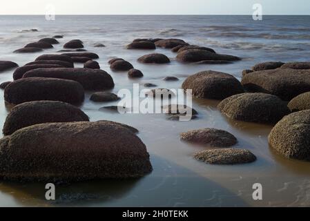 Lines of barnacle encrusted rounded boulders on the beach at North Beach, Hunstanton, Norfolk, England, UK. Stock Photo