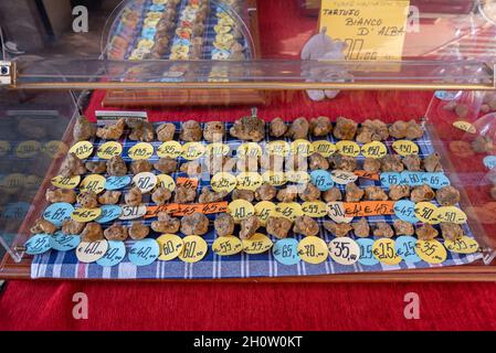 Alba, Cuneo, Piedmont, Italy - October 12, 2021: White truffles displayed for sale at the Alba truffle fair (Fiera delTartufo di Alba) Stock Photo